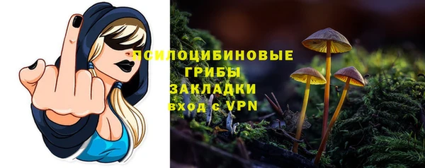 мдпв Горно-Алтайск