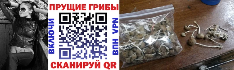 Псилоцибиновые грибы мухоморы  Барнаул 
